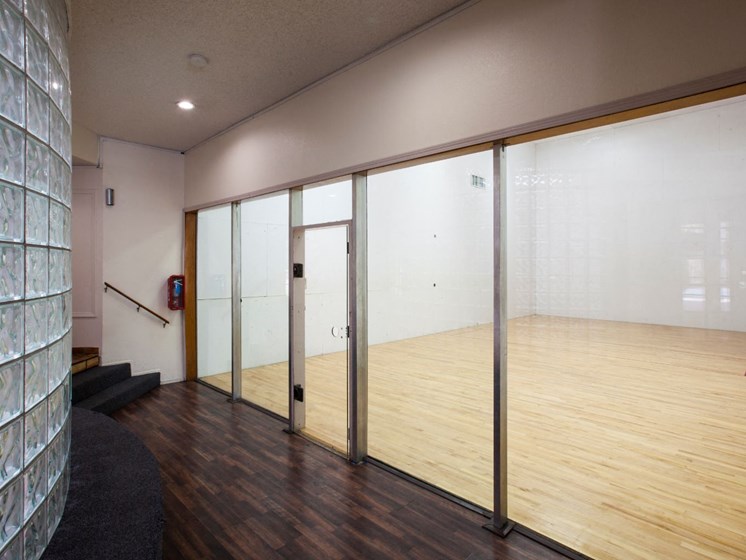 On-Site Community Racquetball Court at Cinnamon Tree Apartments in Albuquerque, MN